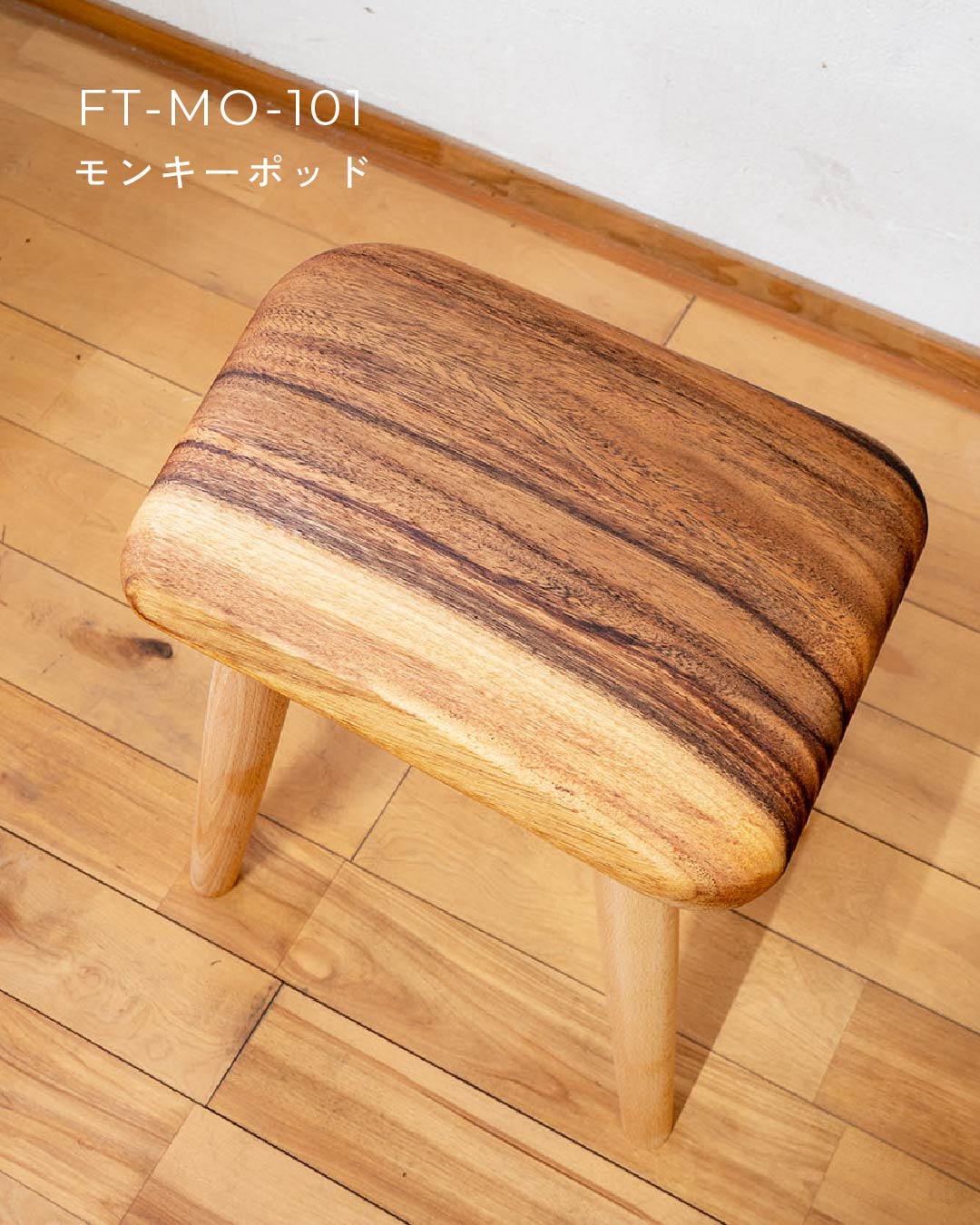 #個体をお選びください_モンキーポッド/FT-MO-101