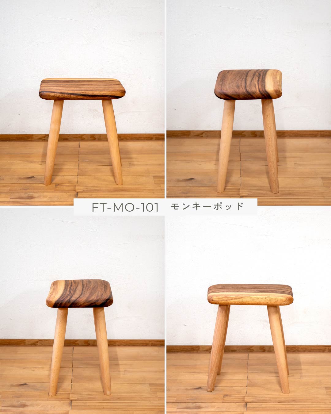 #個体をお選びください_モンキーポッド/FT-MO-101